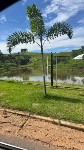 Excelente lote em Barbacena 