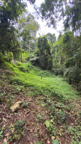 Terreno licenciado pronto para construção - Praia do Felix