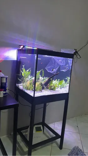 Aquario 50x45x50 com base de metalon