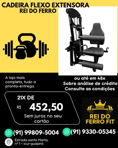 Cadeira flexo extensora 