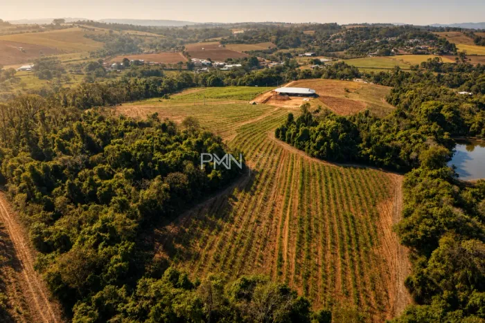 Sítio à venda em Santo Antônio de Posse, Área Rural de Santo Antônio de Posse, com 9.59 he