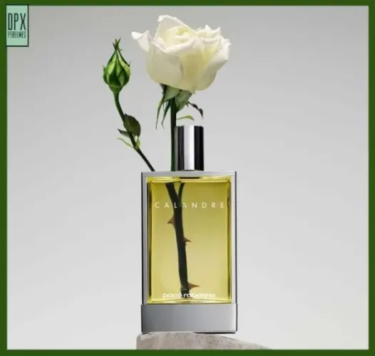 Perfume Calandre 100ml EDT (Original, Adipec!)