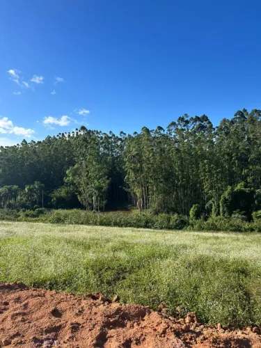 ESSA OFERTA DE 500m² EM COTIA MERECE SUA ATENÇÃO!