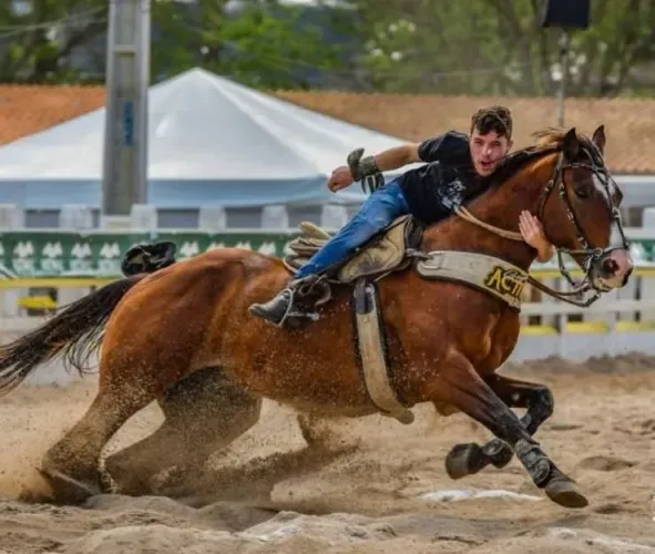 Cavalo Quarto de milha