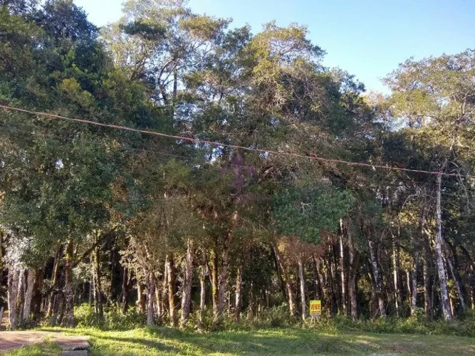 Linda Chácara Urbana no centro de Quatro Barras