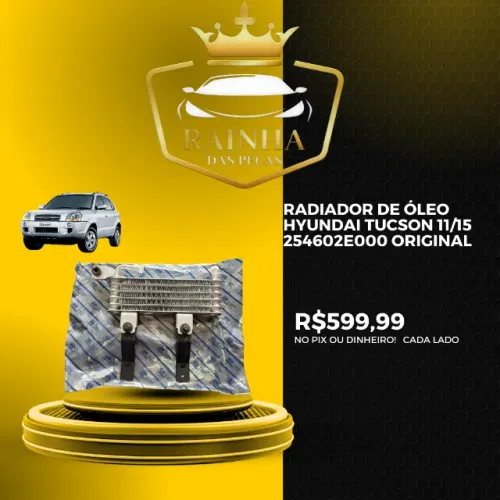 Radiador De Óleo Hyundai Tucson 2011 até 2015 254602e000 Original