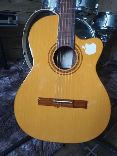 Violao digiorgio anos 2006 feito com madeiras nobres