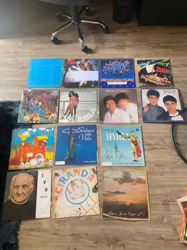 Discos de vinil diversos