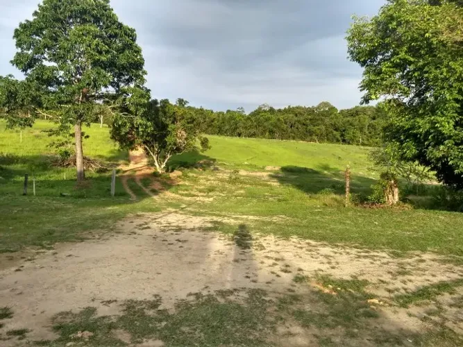 Fazenda 1.000 x 2.000  Presidente Figueiredo  800.000,00