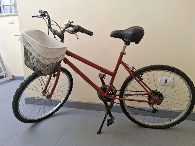 Bicicleta feminina