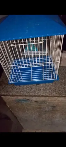 Gaiola