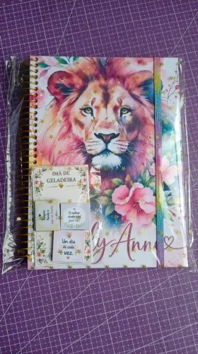 Vendo agendas, devocionais, planner