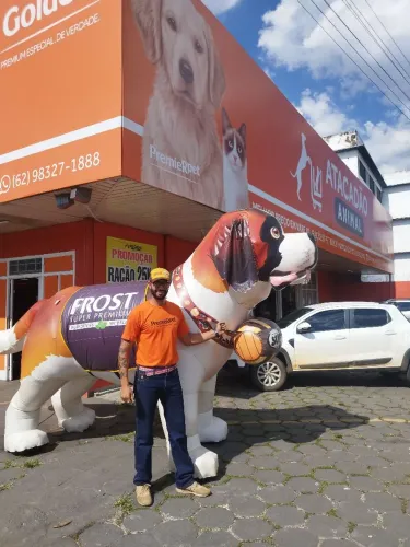 Inseminação artificial em caes