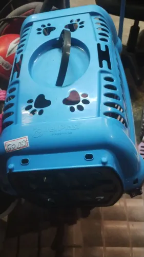 caixinha transporte gatos