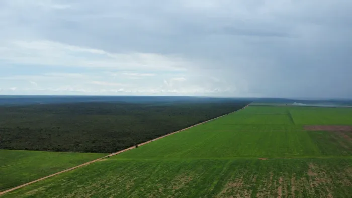 Fazenda em Correntina 