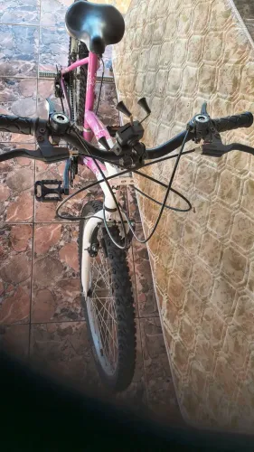 Bicicleta Feminina Aro 24