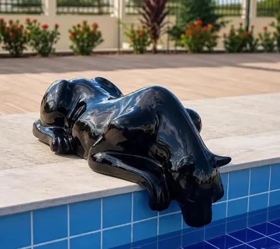 Pantera borda de piscina 