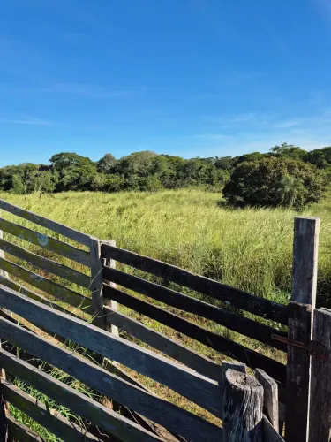 Fazendinha apropriada para criação, cavalo elite, gado, peixe