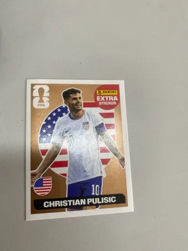 Legend do Pulisic bronze