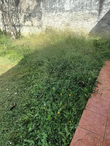 Jardineiro
