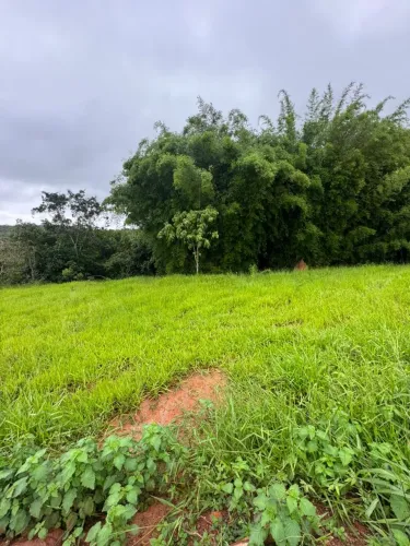 Chacara rural