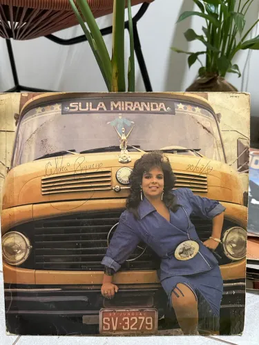 Lote 50 discos LPs sertanejo raiz