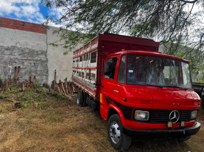 Mercedes 608 D boiadeira