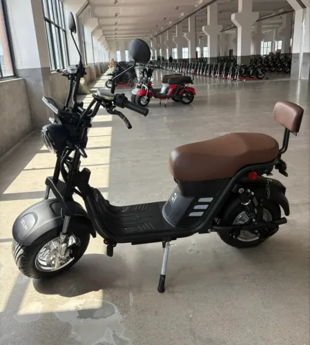 Scooter elétrica 1000w