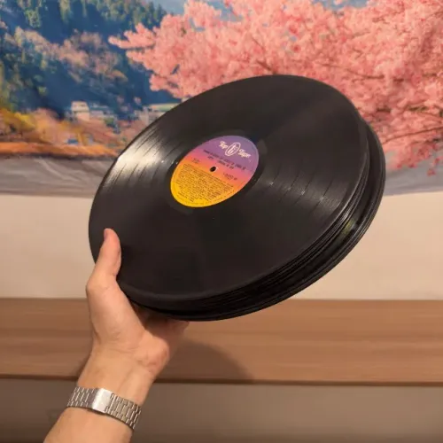 14 Disco de Vinil Aleatorios / LP decorativos
