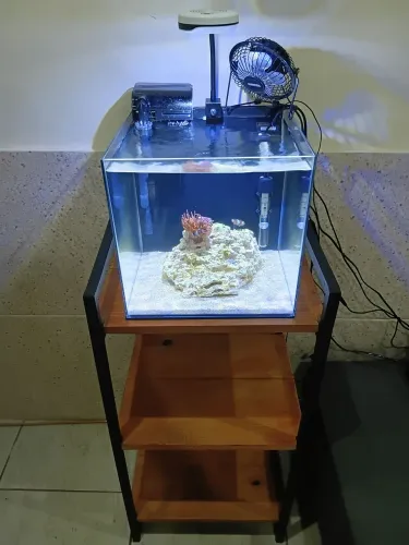 Vendo aquário marinho com móvel completo, aceito cartão 