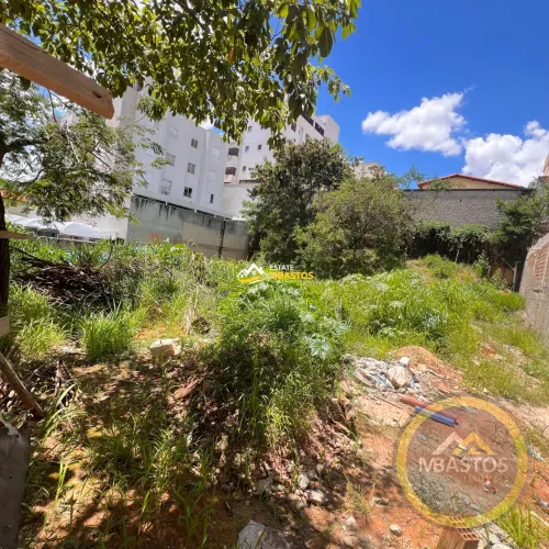Terreno à venda em Belo Horizonte Bairro Castelo Ref.:22103
