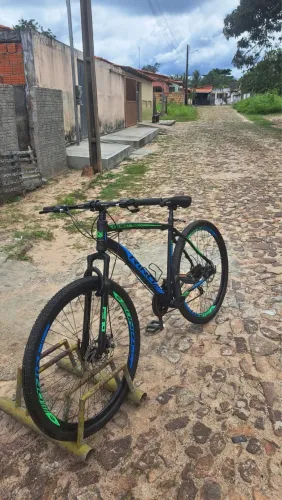 ? Bicicleta Aro 29 Rino Everest ?