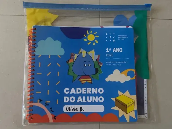 Livro LIV 3 ano