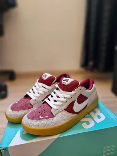 Tênis Nike Sb Force