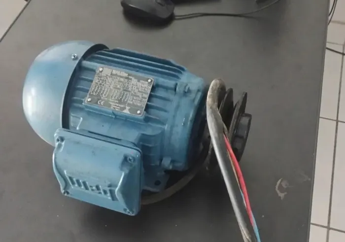 Motor Weg W22 Plus 2hp seminovo