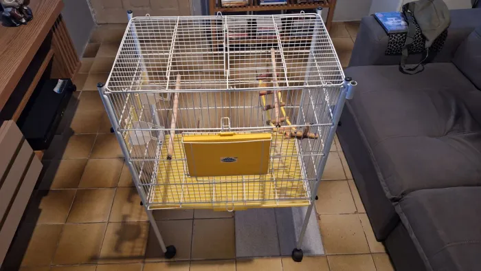 Mini viveiro Bragança para aves tipo calopsitas ou papagaios