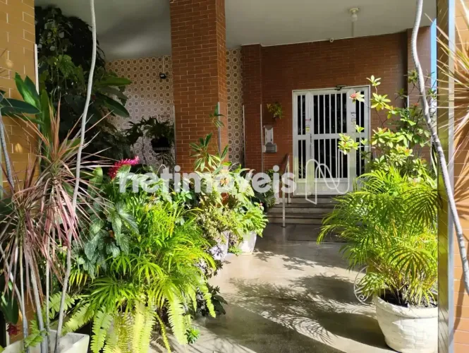 Apartamento de 1 quarto para locação na Freguesia (Ilha do Governador)