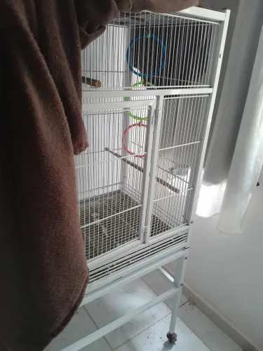 Gaiola para calopsita 
