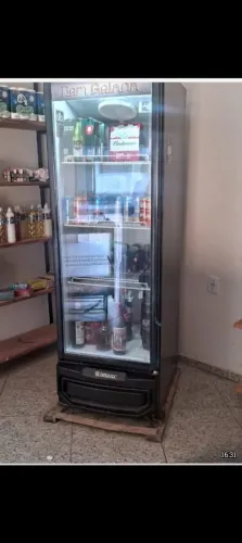 Freezer vertical