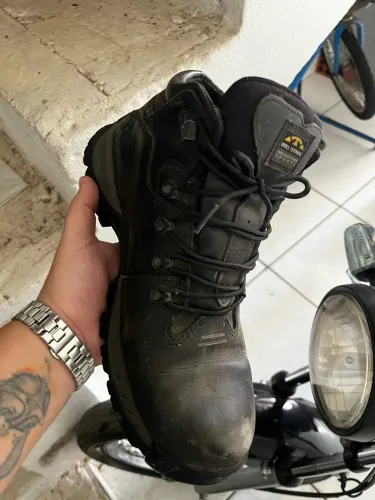 BOTA BULLTERRIER