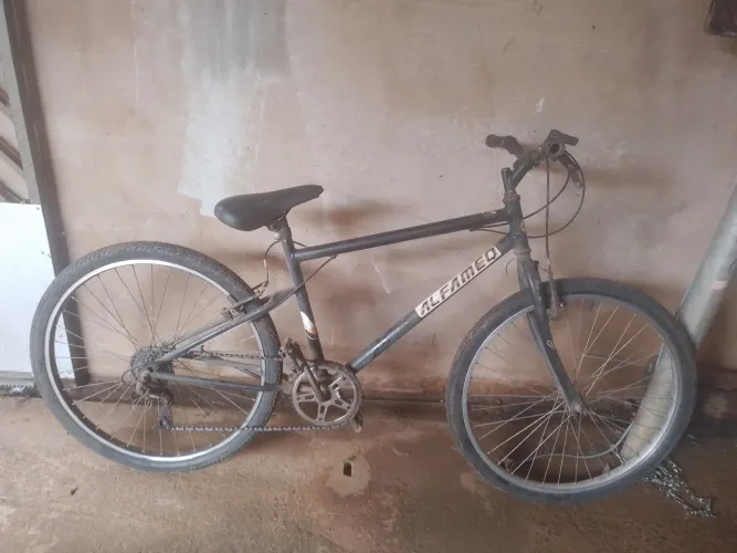 Bicleta
