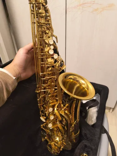Saxofone Alto hofma HSA 400 - seminovo