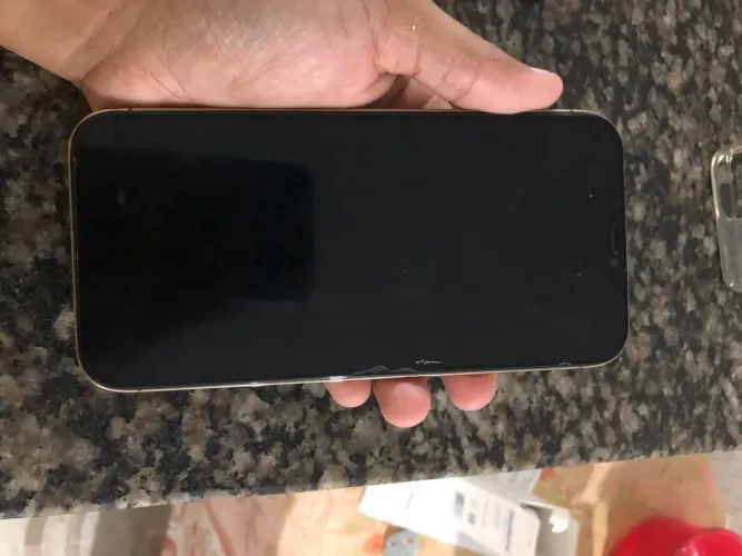 iPhone 12 Pro Max