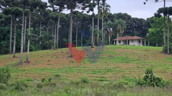 Fazenda com 70 alqueires, casa, rio e lago a 8 km da BR-476 Aberta a negociação