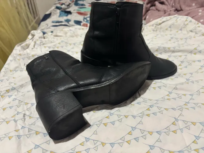 Bota