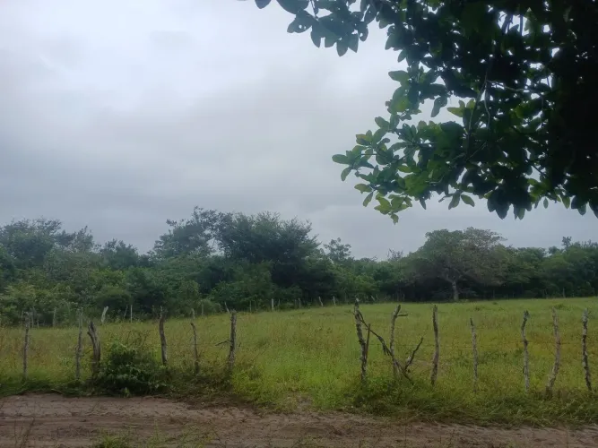 Vende-se Um Terreno Grande