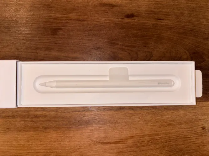 Apple Pencil Pro - Nova e Original