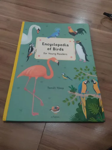 Enciclopédia Pássaros em inglês (perfeito para crianças)