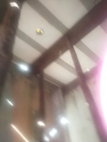 Estronca de eucalipto 