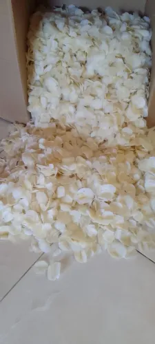 1 Kilo de escamas de peixe Camurupim para artesanatos diversos